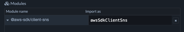 module_properties_in_function_node_aws_sns_client.png