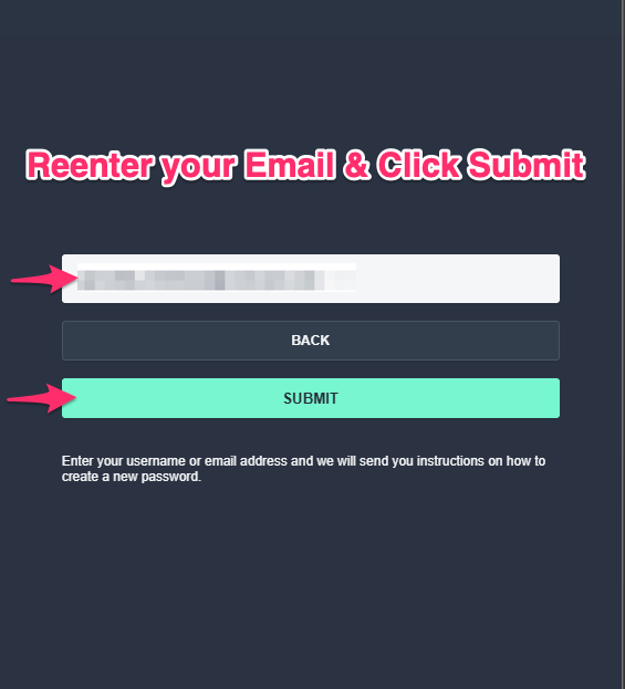 3-enter-password-reset-form.png